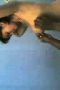 0d207880ed18fe73f67f76f8a9e84a78.jpeg