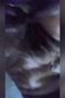 16356a2e8081e5b0910deefcfa5554dd.jpeg