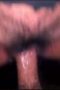 23bba70abcb7a3b151114ab307a75e82.jpeg