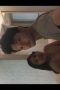 d1d98391e94181b64dd17b9298620ba8.jpeg