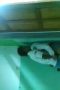 e05fe74faea490f32a150de2f8085ccc.jpeg