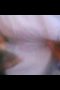 f2282866f48c49eef6409389d1d0877d.jpeg